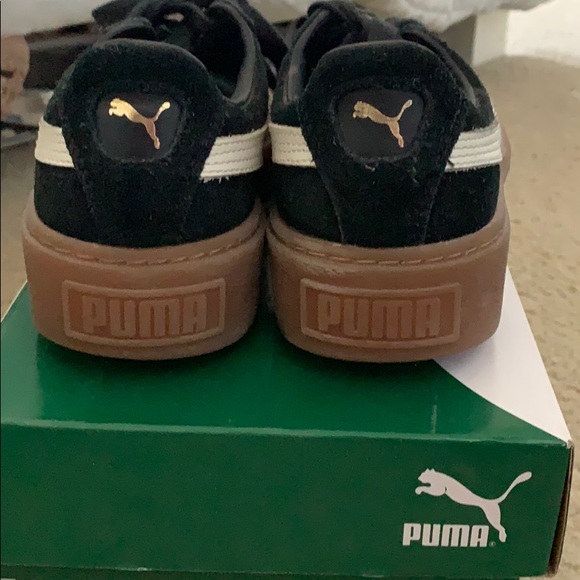 Puma platform - Picture 3 of 4